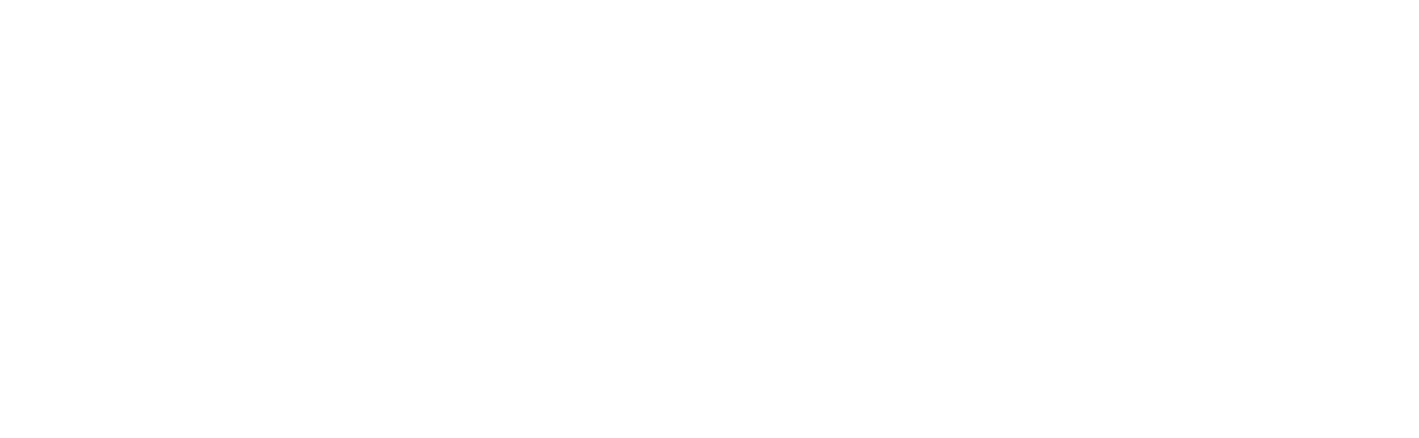 System X Ceramic Protection